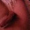 foto do perfil fulanolondon